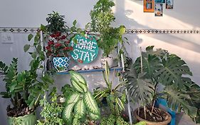 Ánh Dương Homestay - Coastal stop - Just 2 mins walking to Eo Gio